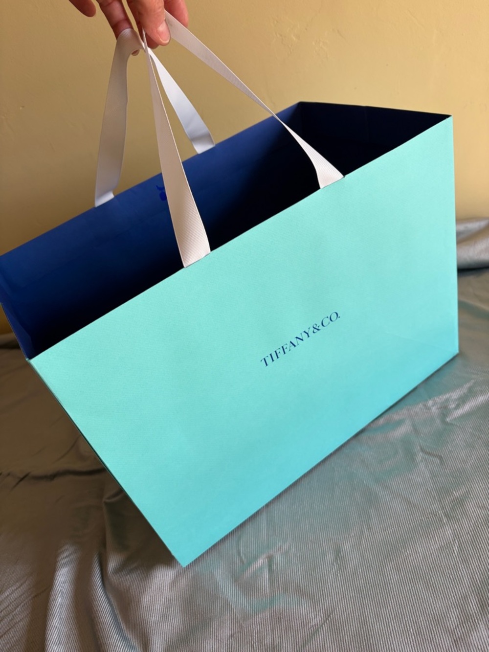 Authentic Tiffany & Co. Signature color paper Tote with White Handles